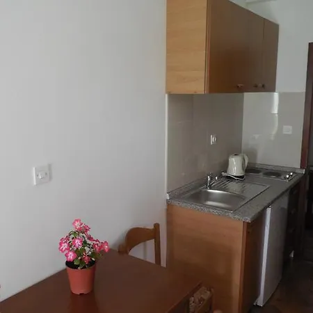 Maslina Apartment Drasnice