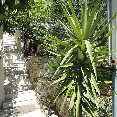 Maslina דירה *
