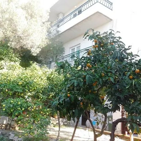 Apartment Maslina *