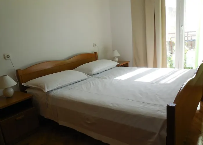 Maslina * Drašnice