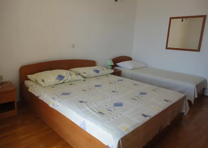 Maslina * Drašnice